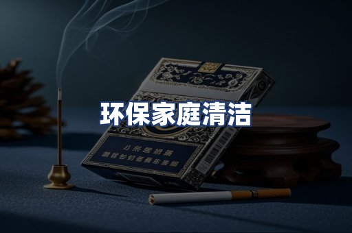 环保家庭清洁